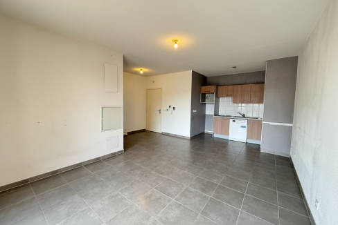 generated_2026-03-03T17_49_44.963